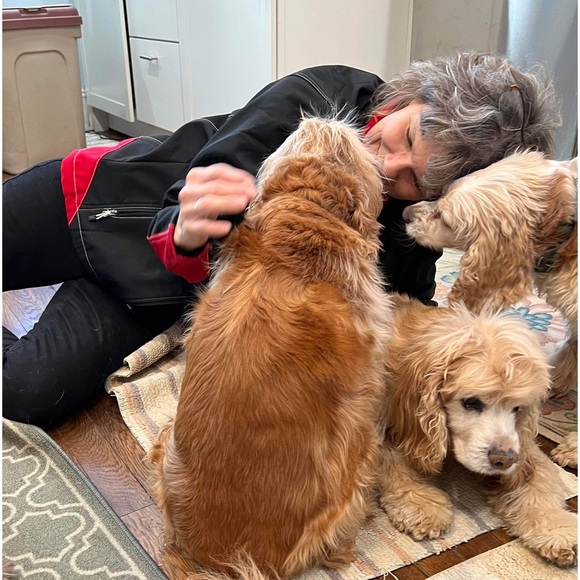 Meet your Posher, Amy - Picture 4 of 8